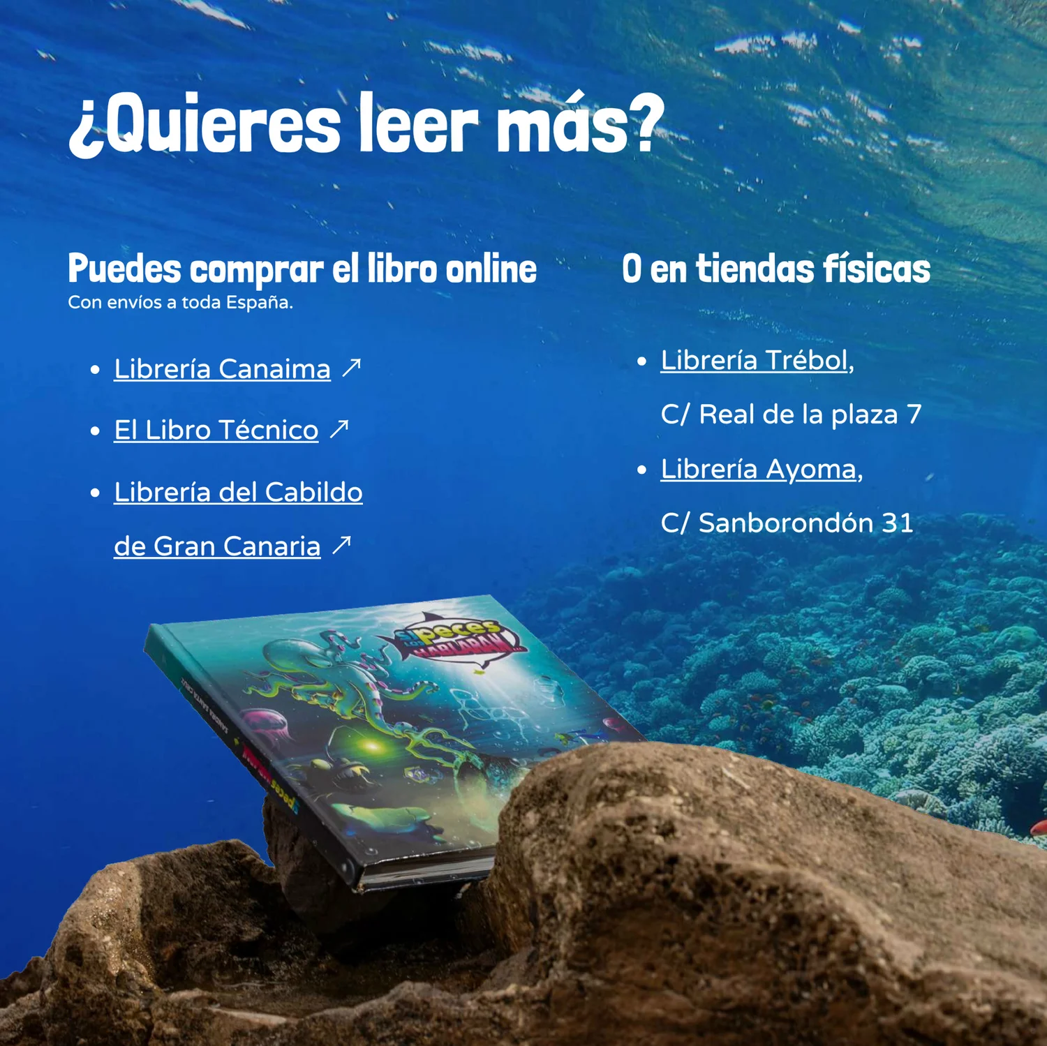Página 21 del fragmento
